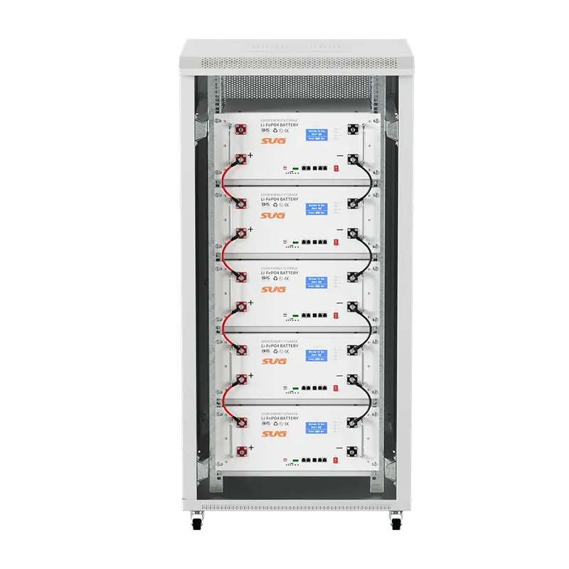 SBS-51.2V100Ah RackCabinet Mounted Lithium Energy Storage Battery (5).jpg