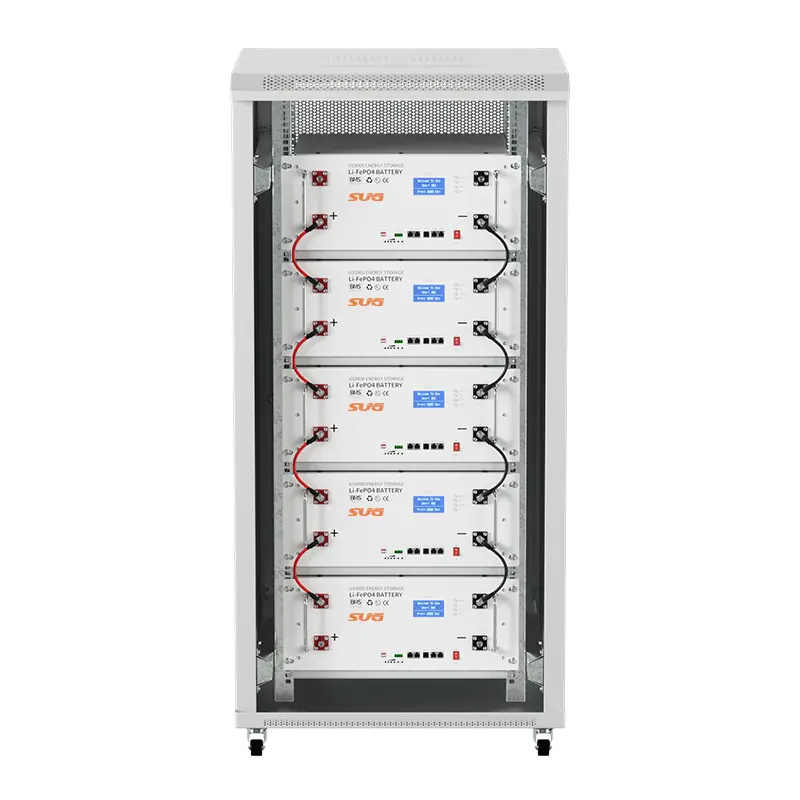 SBS-51.2V200Ah RackCabinet Mounted Lithium Energy Storage Battery (5).jpg